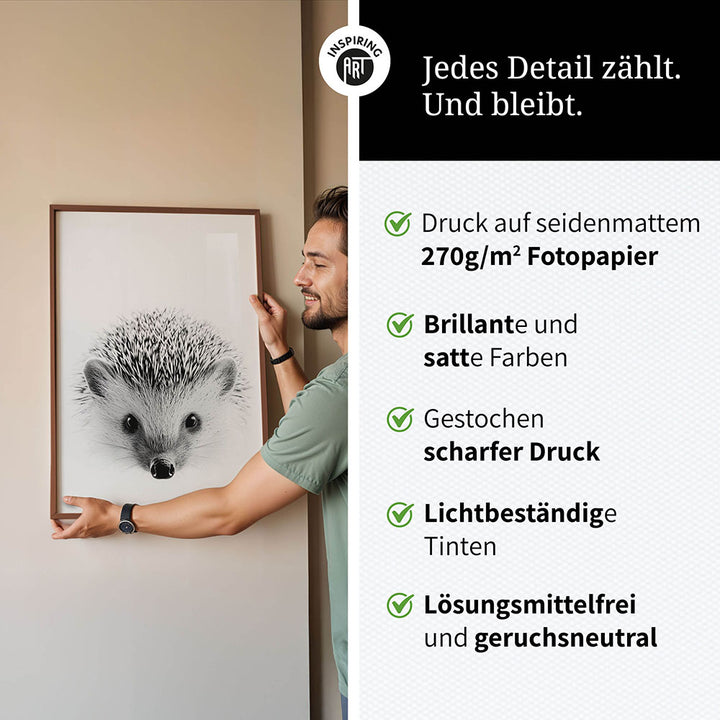 Poster: Tierporträt Igel "Pico" in Schwarz-Weiß