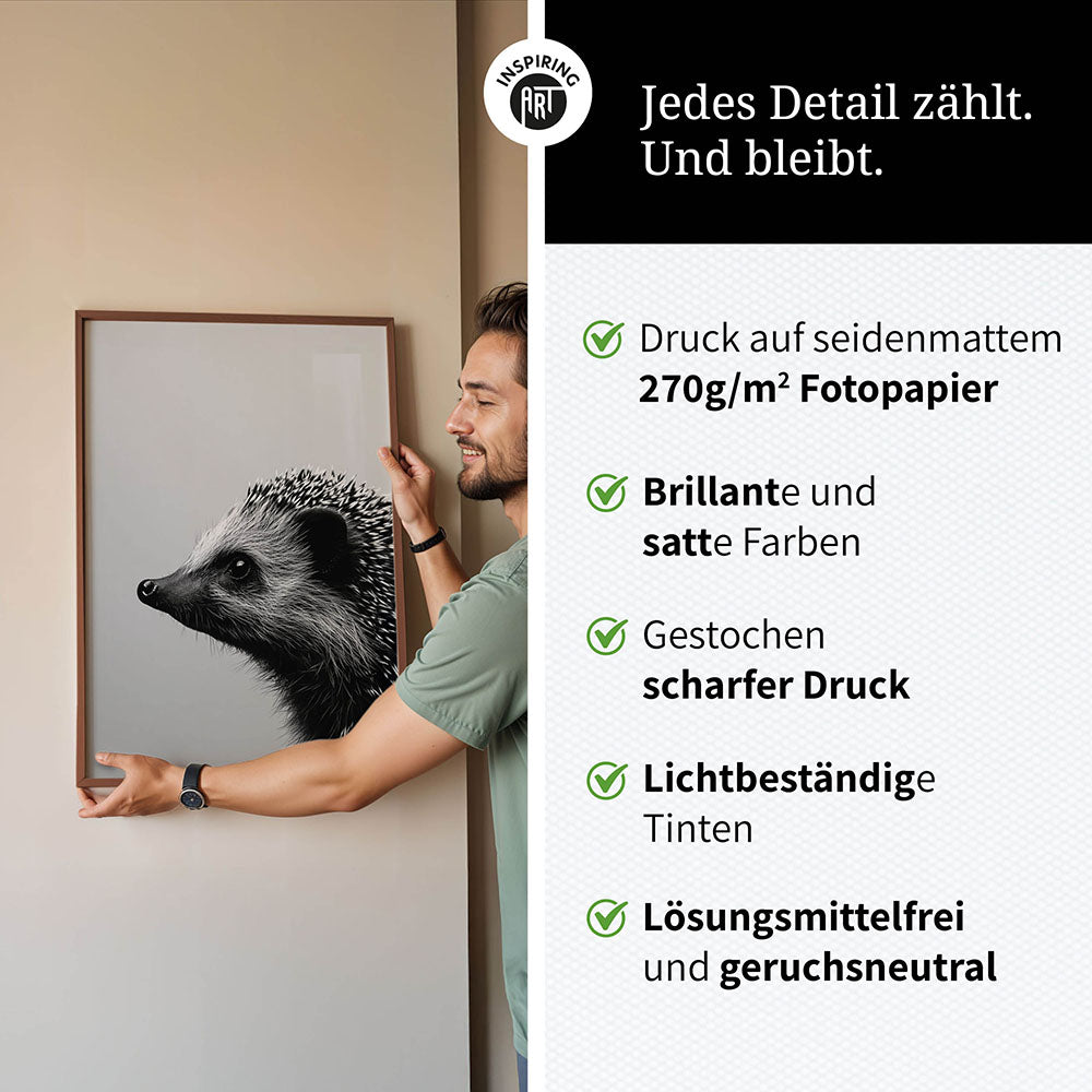 Poster: Tierporträt Igel "Fips" in Schwarz-Weiß