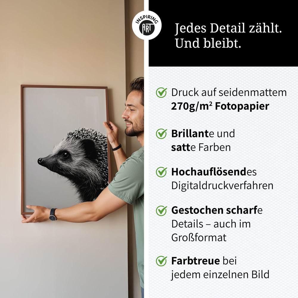 Poster: Tierporträt Igel "Fips" in Schwarz-Weiß