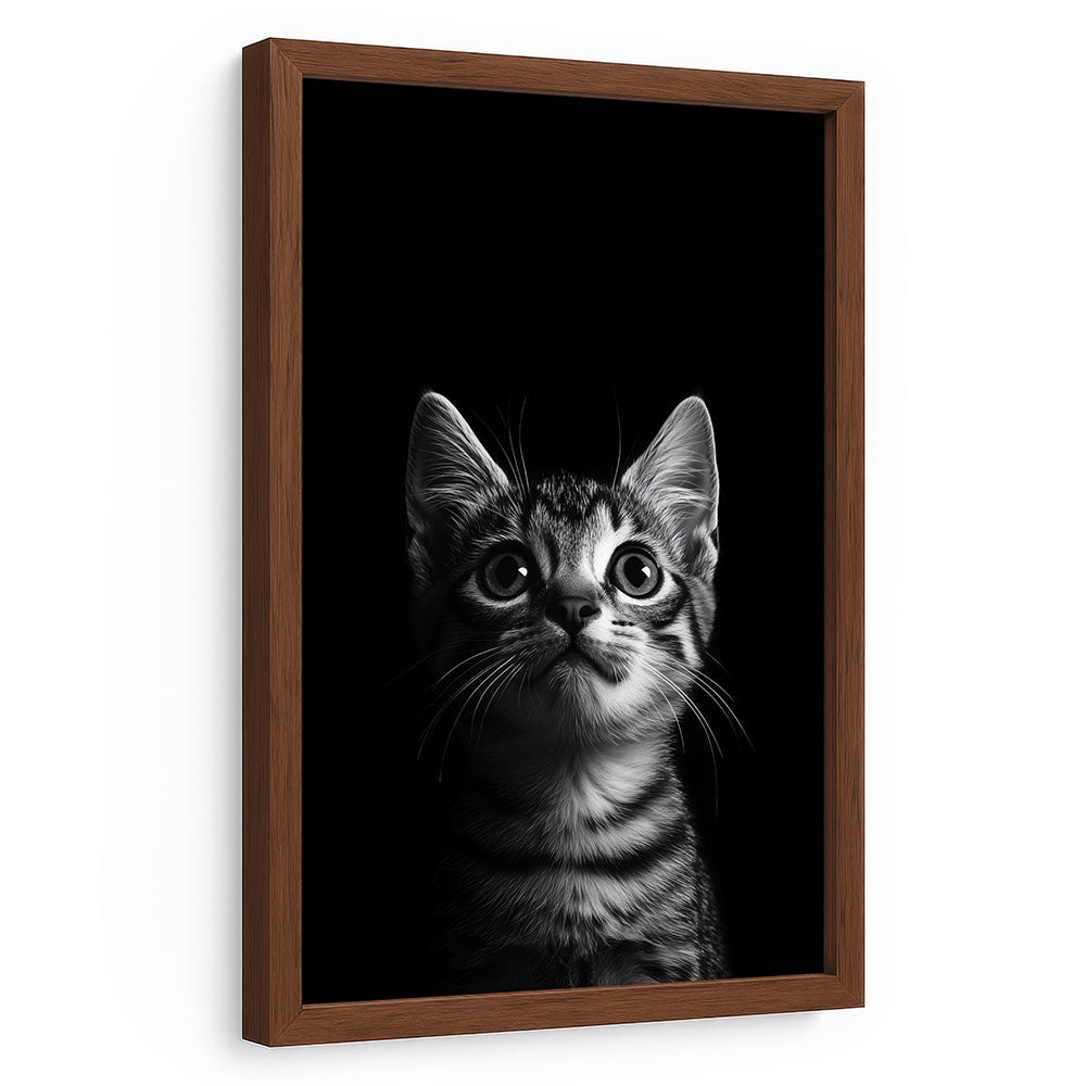 Katzenposter Schwarz Weiß