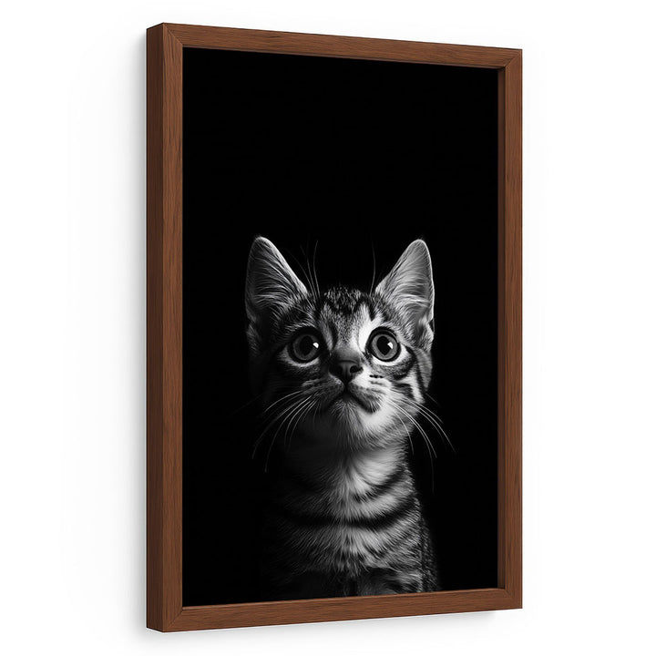 Katzenposter Schwarz Weiß
