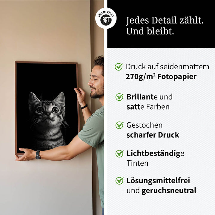 Poster: Tierporträt Katze "Felino" in Schwarz-Weiß
