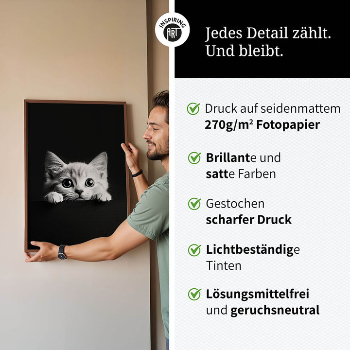 Poster: Tierporträt Katze "Misty" in Schwarz-Weiß