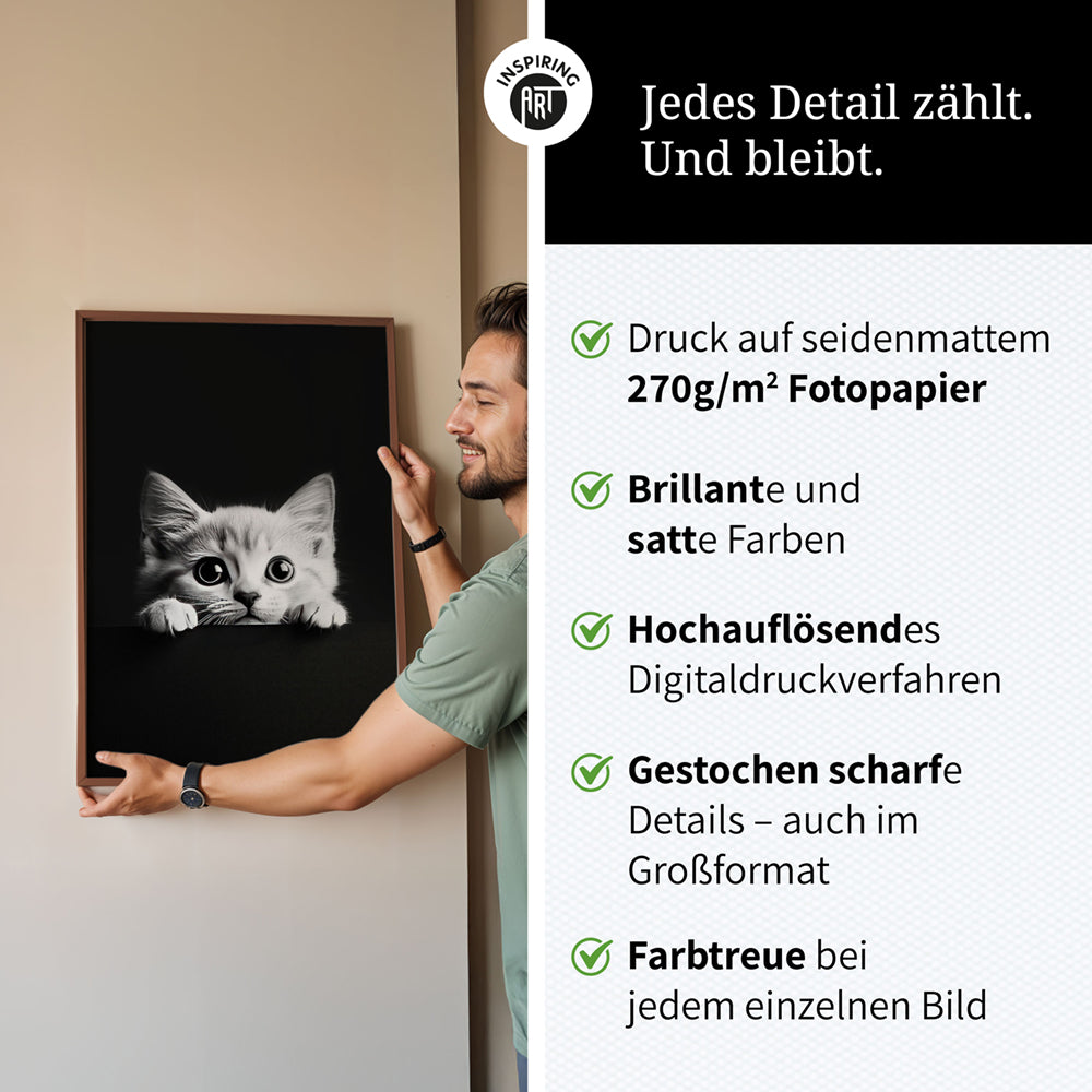 Poster: Tierporträt Katze "Misty" in Schwarz-Weiß