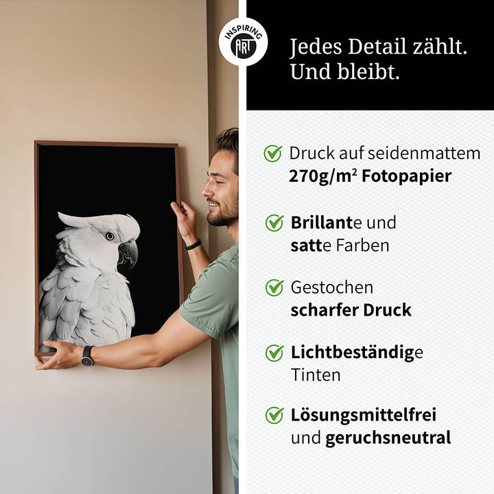 Poster: Tierporträt Papagei "Rio" in Schwarz-Weiß