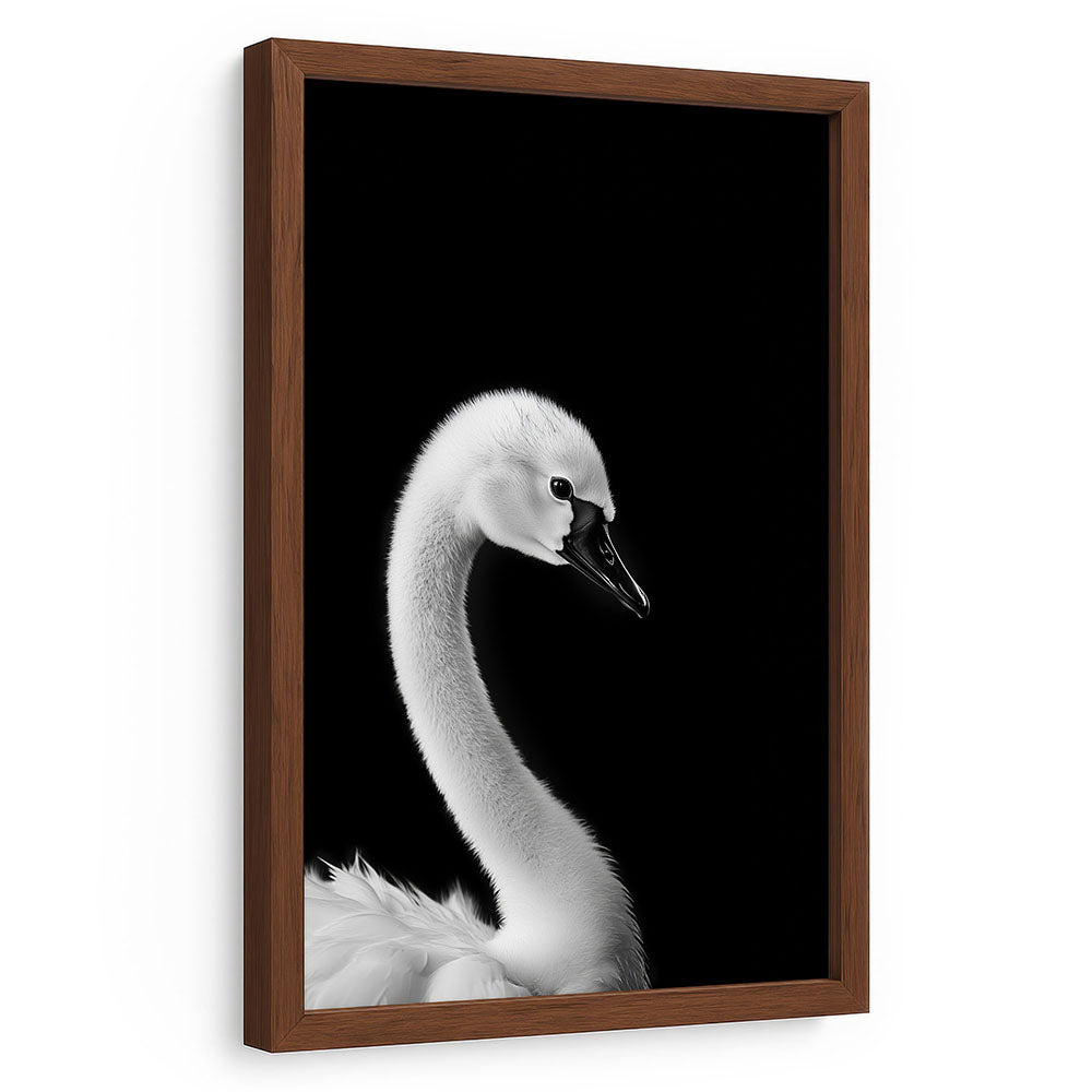 Poster mit Rahmen Tierbild Schwan Schwarz Weiß