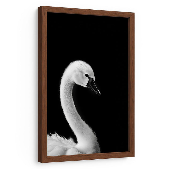 Poster mit Rahmen Tierbild Schwan Schwarz Weiß