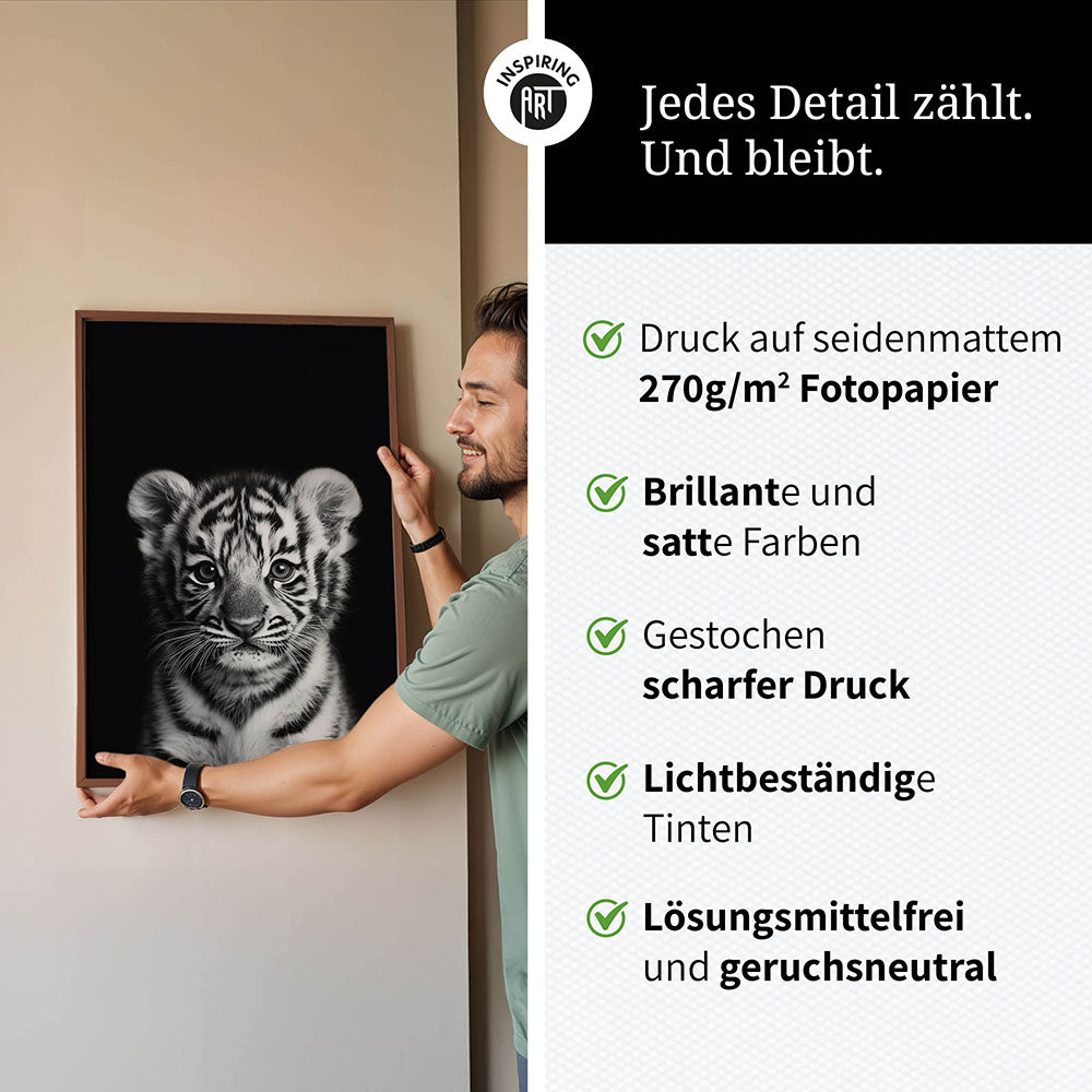 Poster: Tierporträt junger Tiger "Zuko" in Schwarz-Weiß