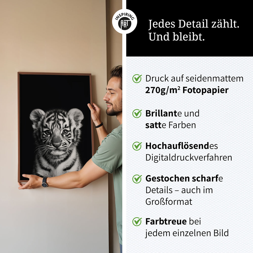 Poster: Tierporträt junger Tiger "Zuko" in Schwarz-Weiß