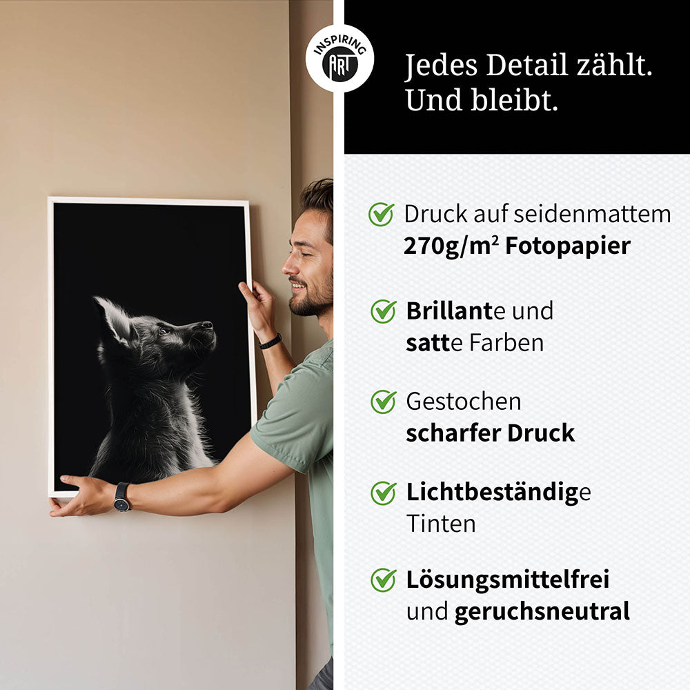 Poster: Tierporträt Hund "Lex" in Schwarz-Weiß