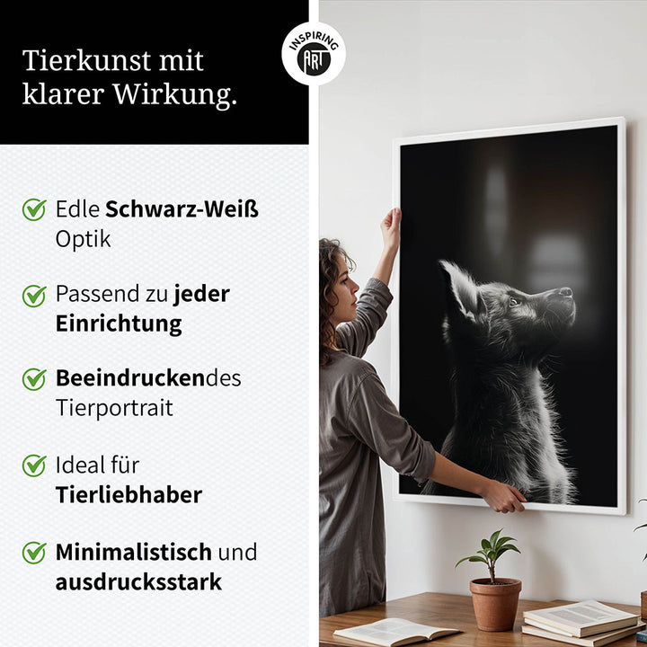 Poster: Tierporträt Hund "Lex" in Schwarz-Weiß