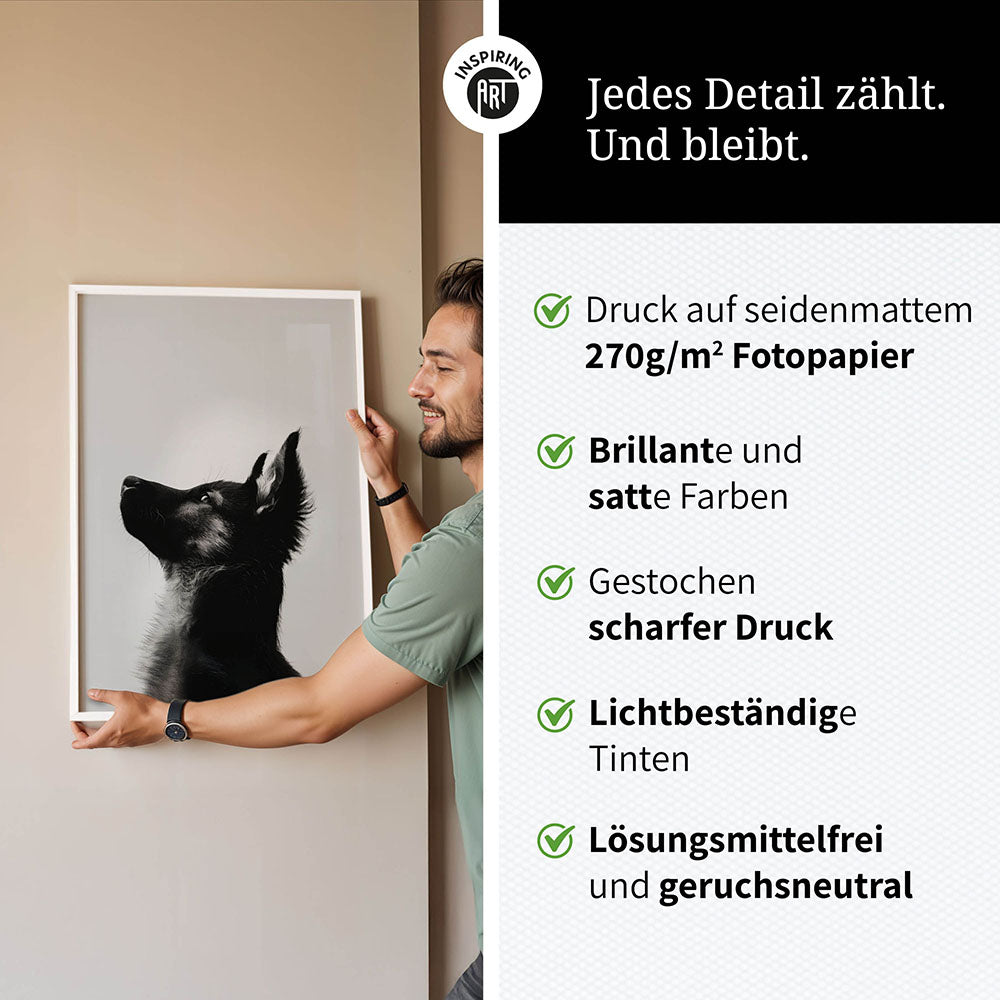 Poster: Tierporträt Hund "Baxter" in Schwarz-Weiß