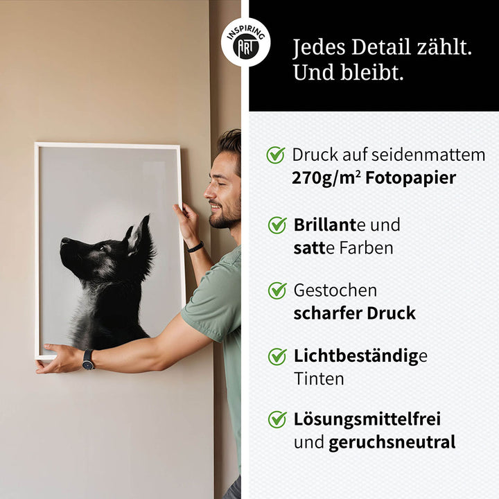 Poster: Tierporträt Hund "Baxter" in Schwarz-Weiß
