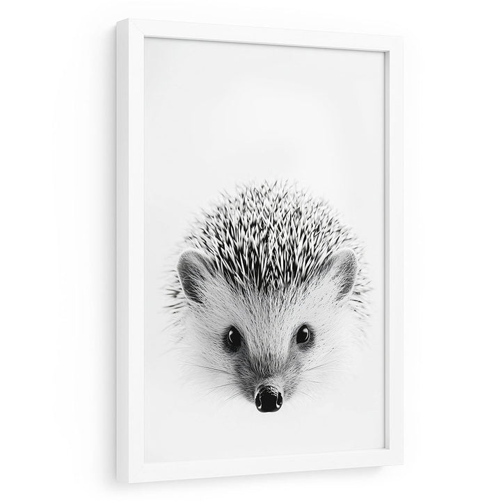 Igel Poster gerahmt