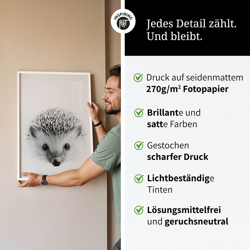 Poster: Tierporträt Igel "Pico" in Schwarz-Weiß