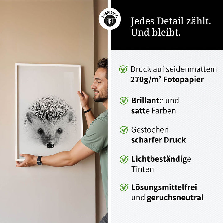 Poster: Tierporträt Igel "Pico" in Schwarz-Weiß