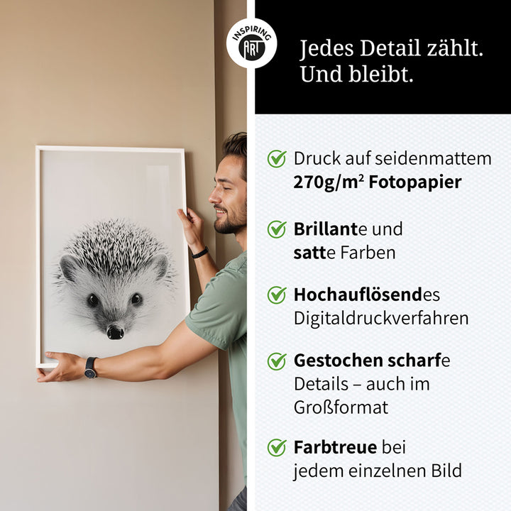 Poster: Tierporträt Igel "Pico" in Schwarz-Weiß