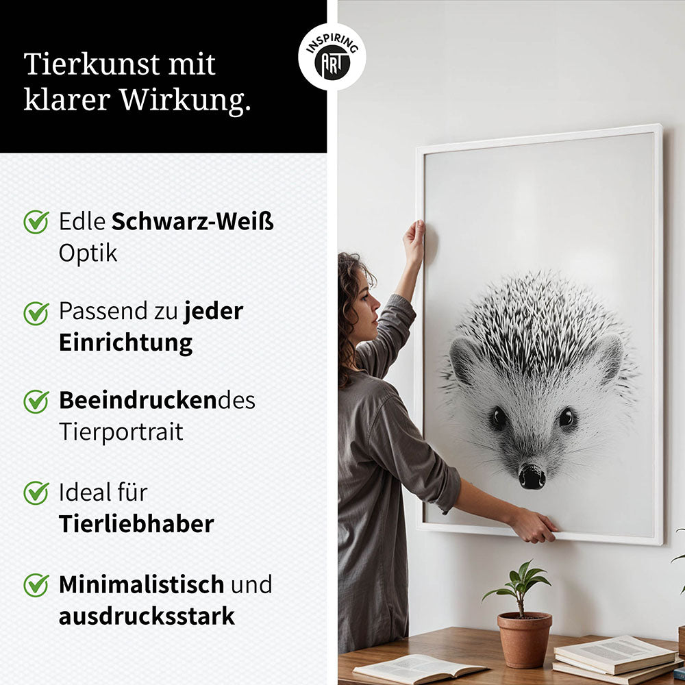 Poster: Tierporträt Igel "Pico" in Schwarz-Weiß