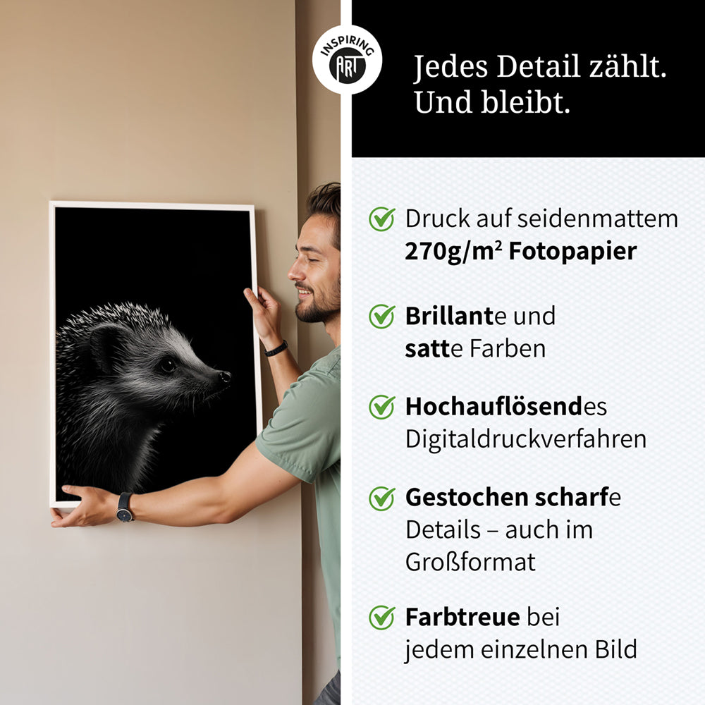 Poster: Tierporträt Igel "Nox" in Schwarz-Weiß