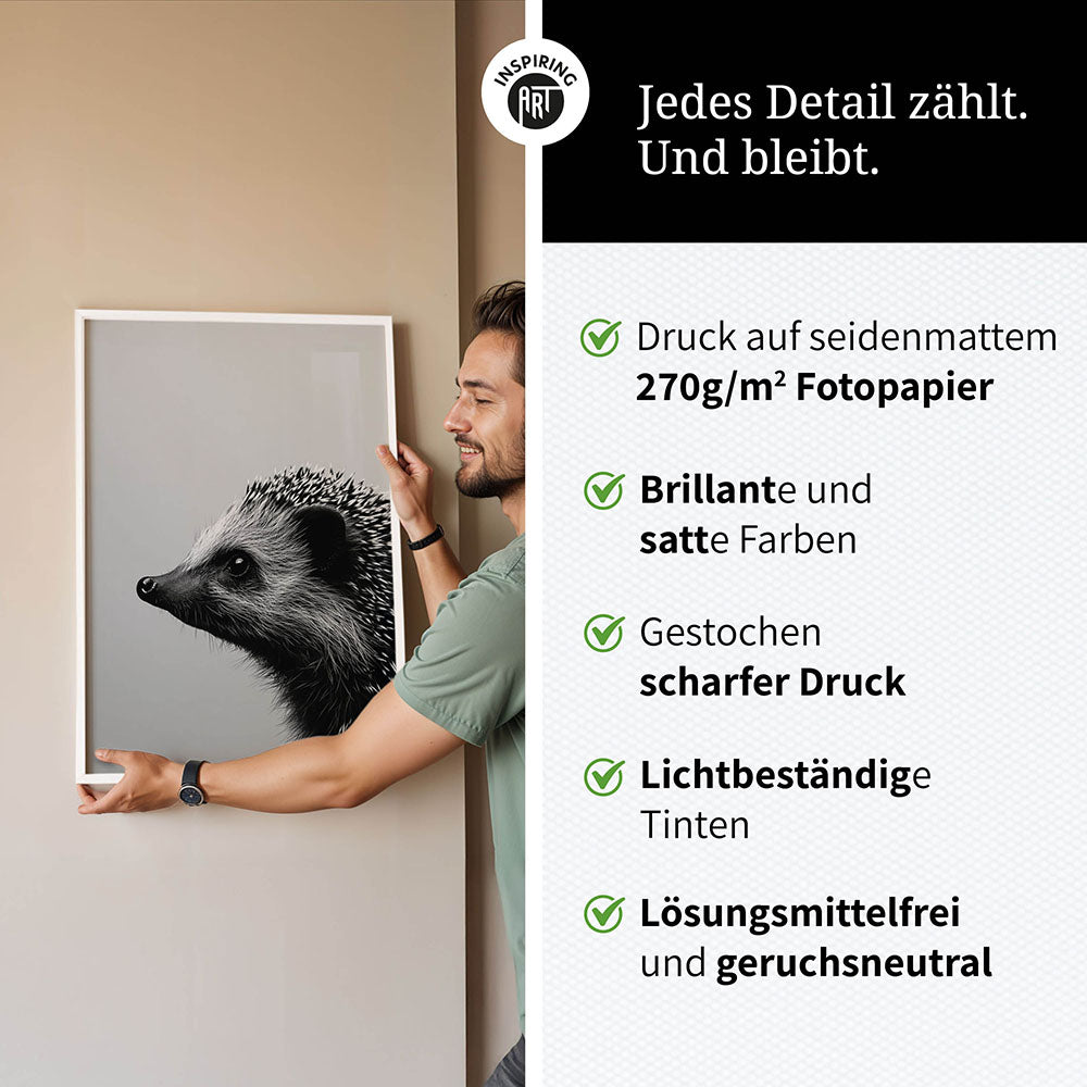 Poster: Tierporträt Igel "Fips" in Schwarz-Weiß
