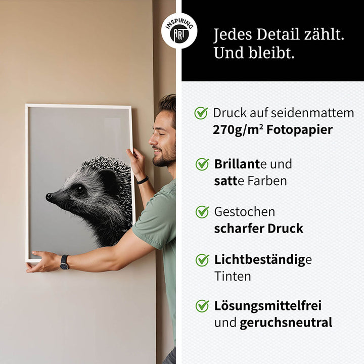 Poster: Tierporträt Igel "Fips" in Schwarz-Weiß