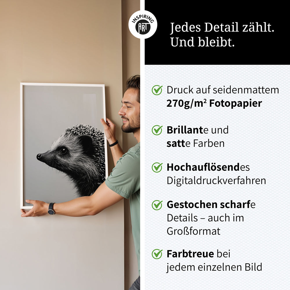 Poster: Tierporträt Igel "Fips" in Schwarz-Weiß