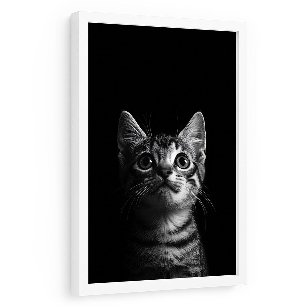 Poster mit Rahmen Tierposter Katze Schwarz Weiß