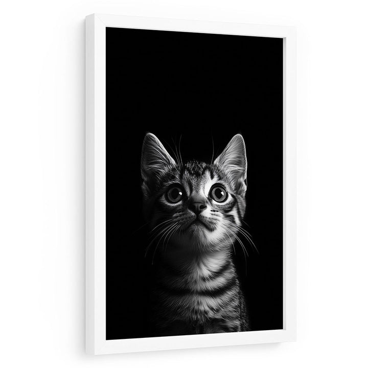 Poster mit Rahmen Tierposter Katze Schwarz Weiß