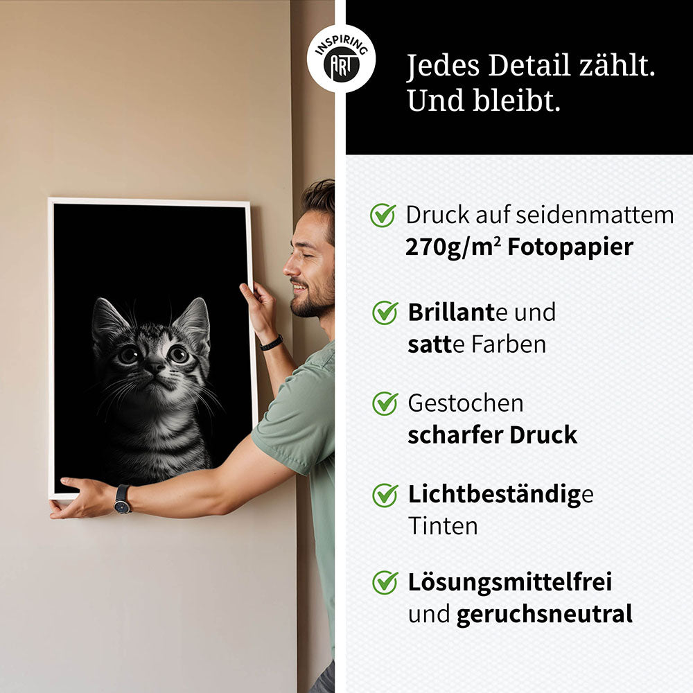 Poster: Tierporträt Katze "Felino" in Schwarz-Weiß