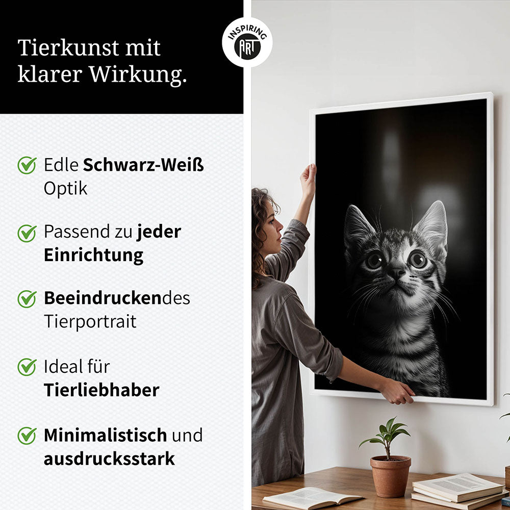 Poster: Tierporträt Katze "Felino" in Schwarz-Weiß