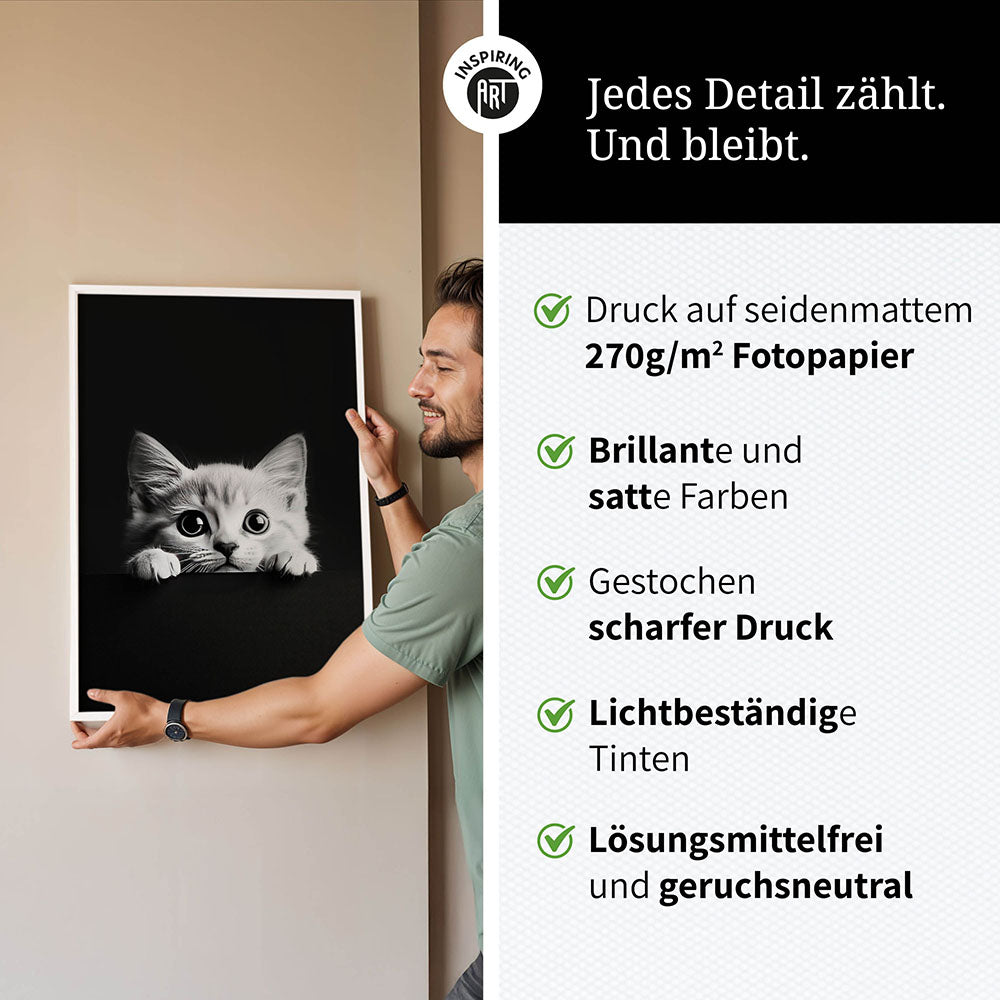 Poster: Tierporträt Katze "Misty" in Schwarz-Weiß