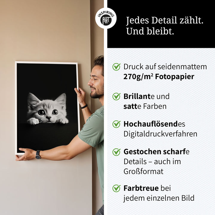 Poster: Tierporträt Katze "Misty" in Schwarz-Weiß