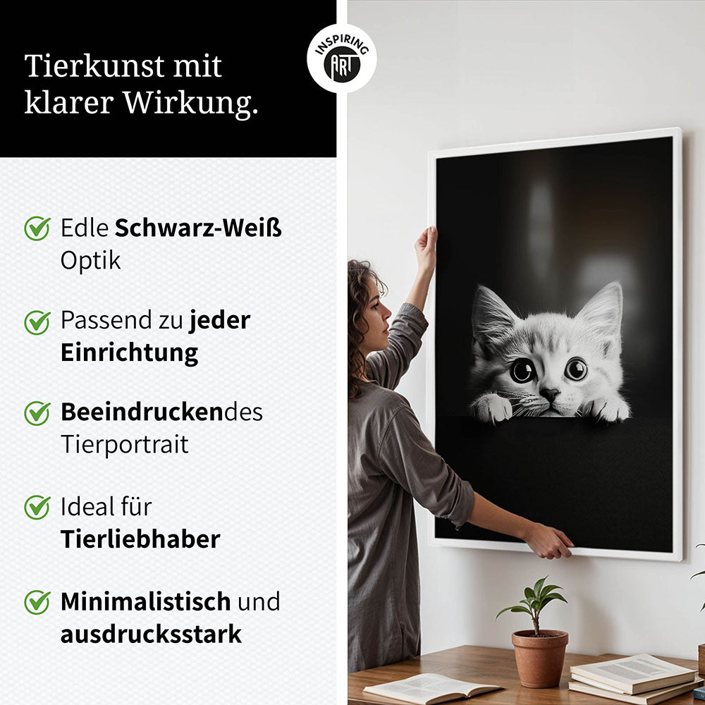 Poster: Tierporträt Katze "Misty" in Schwarz-Weiß