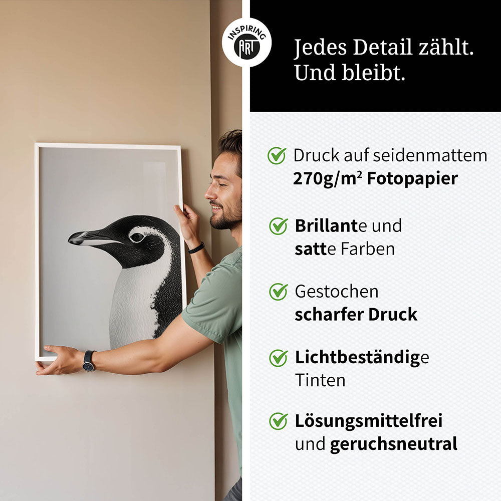 Poster: Tierporträt Pinguin "Marble" in Schwarz-Weiß