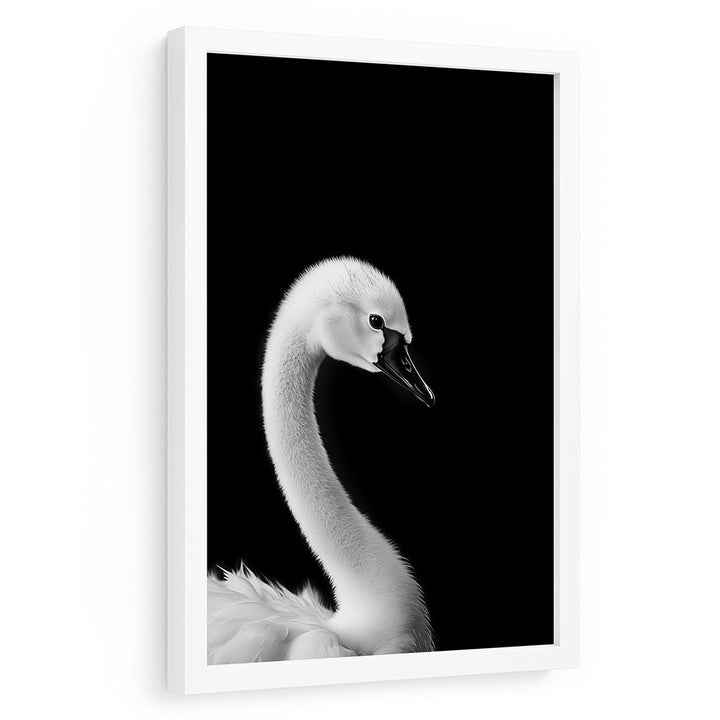 Poster mit Rahmen Tierbild Schwan Schwarz Weiß
