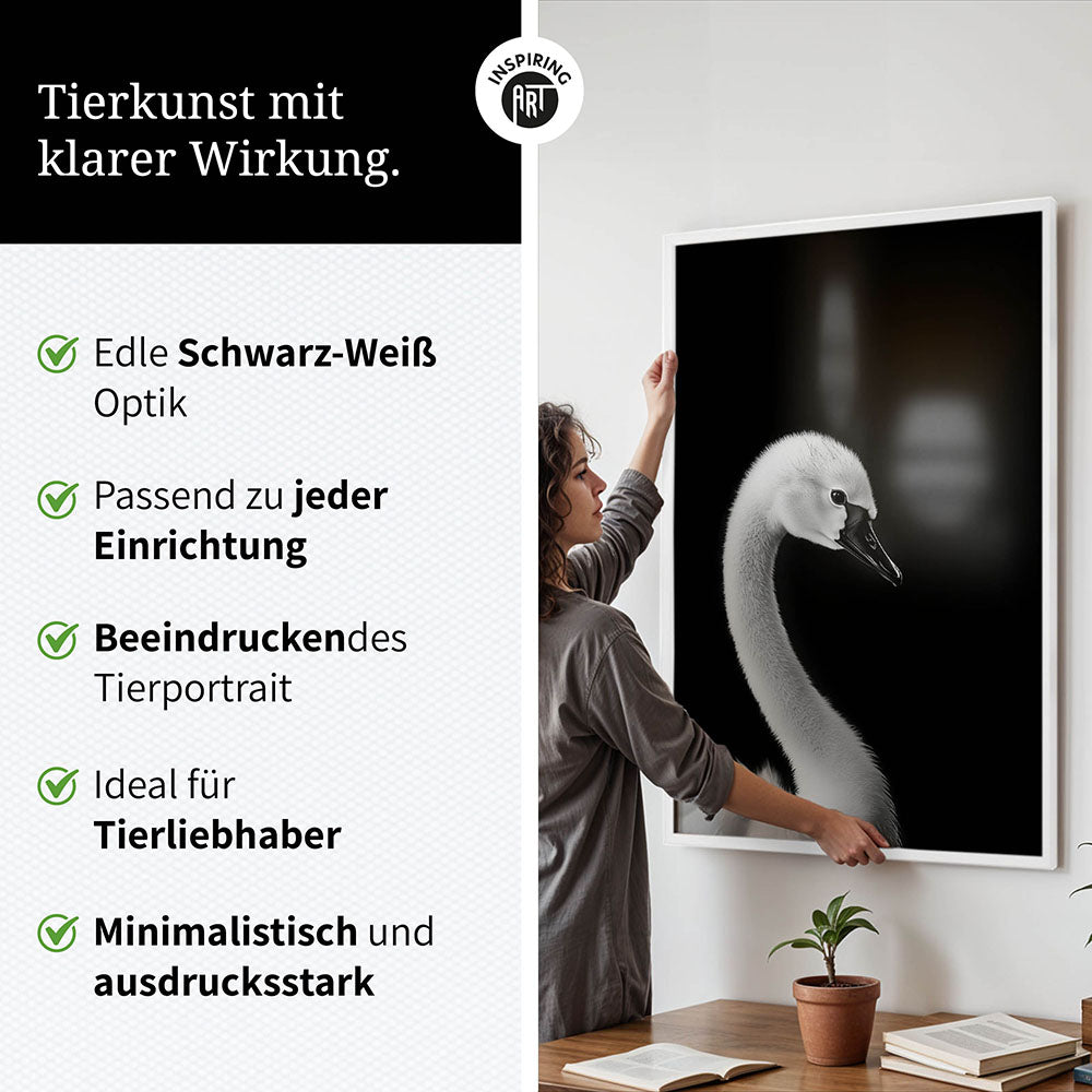 Poster: Tierporträt junger Schwan "Zaria" in Schwarz-Weiß