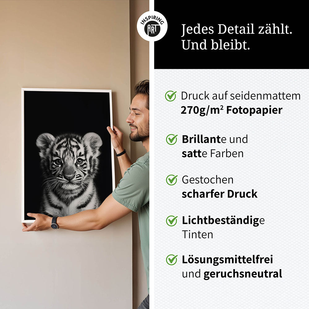 Poster: Tierporträt junger Tiger "Zuko" in Schwarz-Weiß