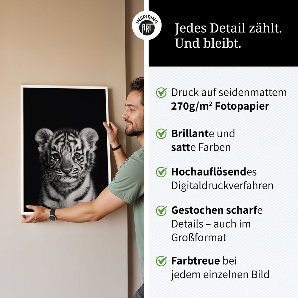 Poster: Tierporträt junger Tiger "Zuko" in Schwarz-Weiß