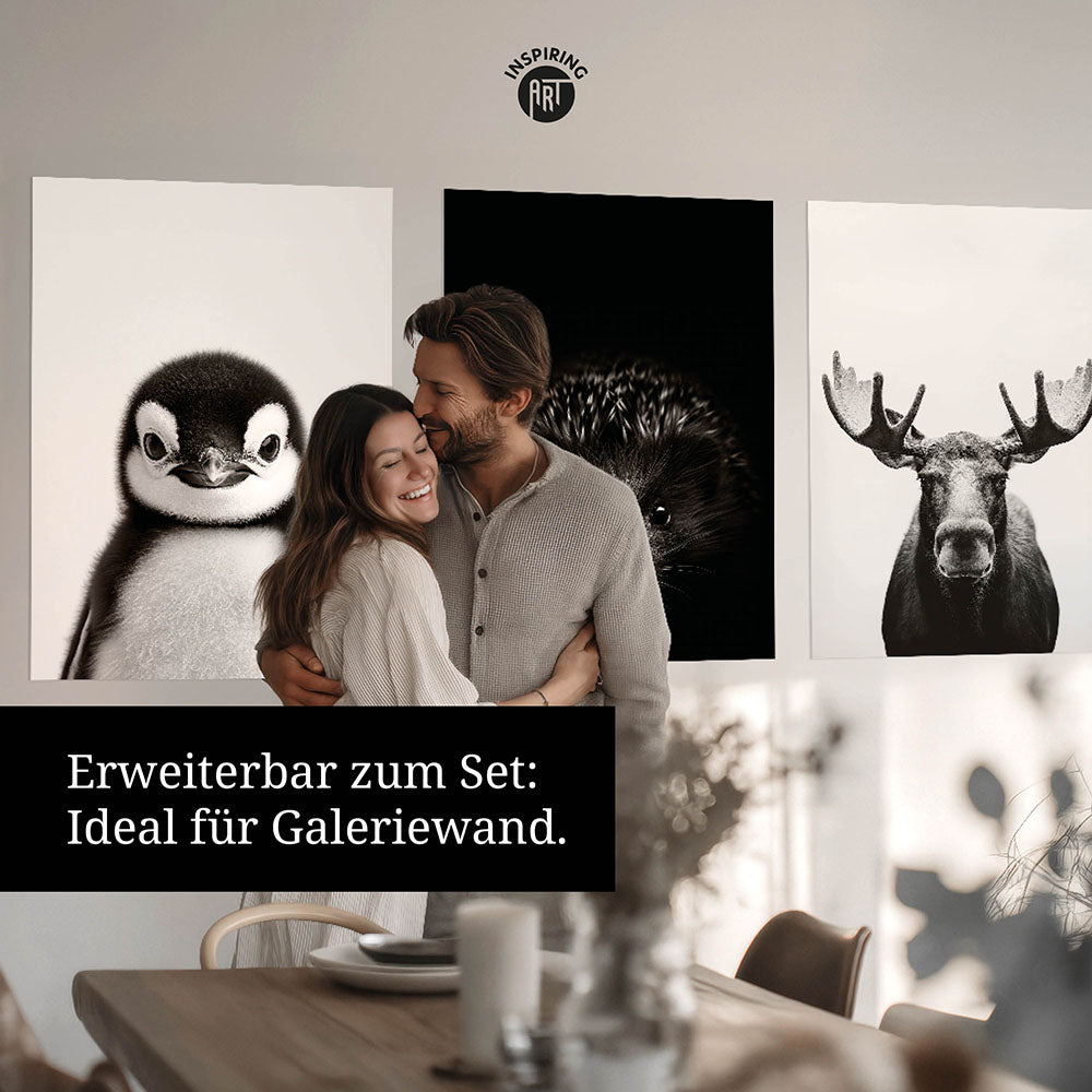 Poster: Tierporträt Pinguin "Icy" in Schwarz-Weiß