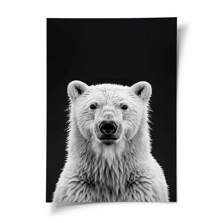 Poster Eisbär Tierposter Schwarz-Weiß 