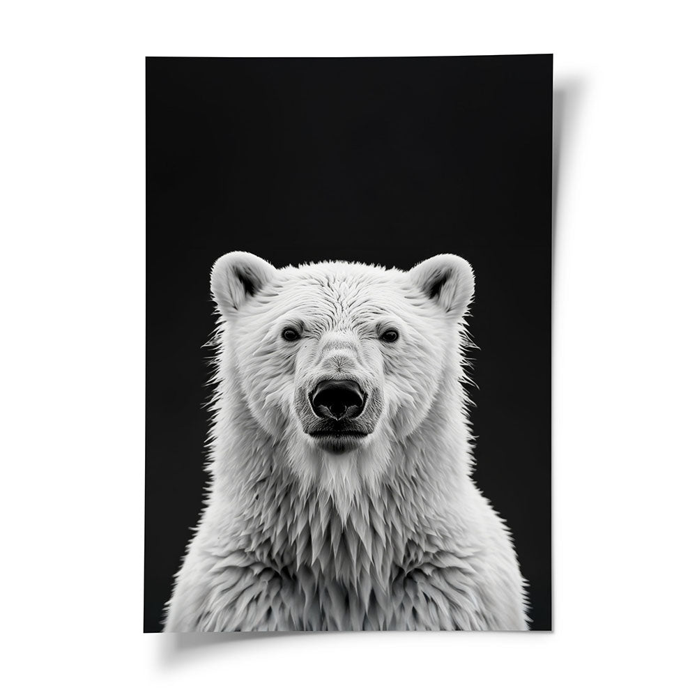 Eisbär Poster Schwarz Weiß