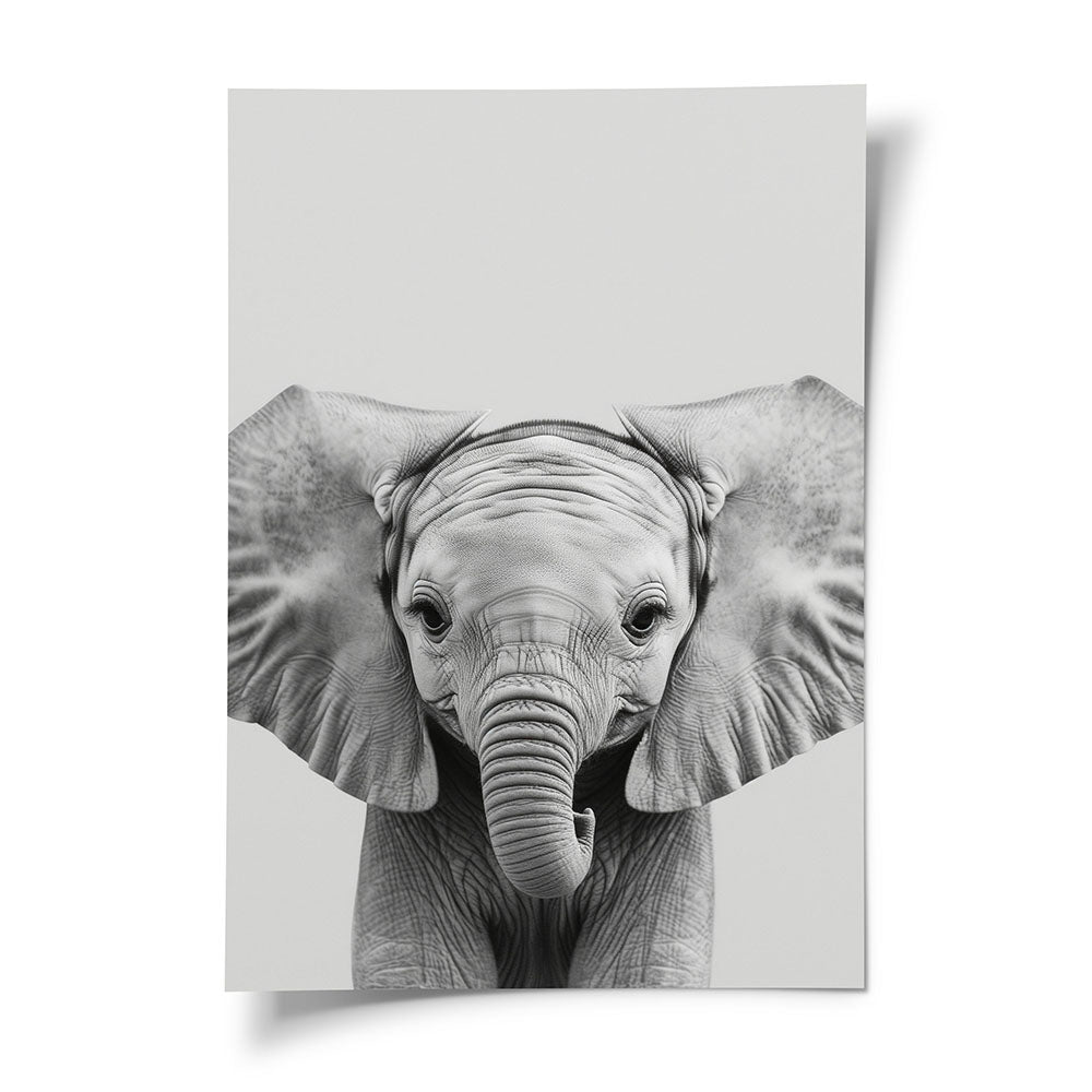 Poster Elefant Schwarz Weiß