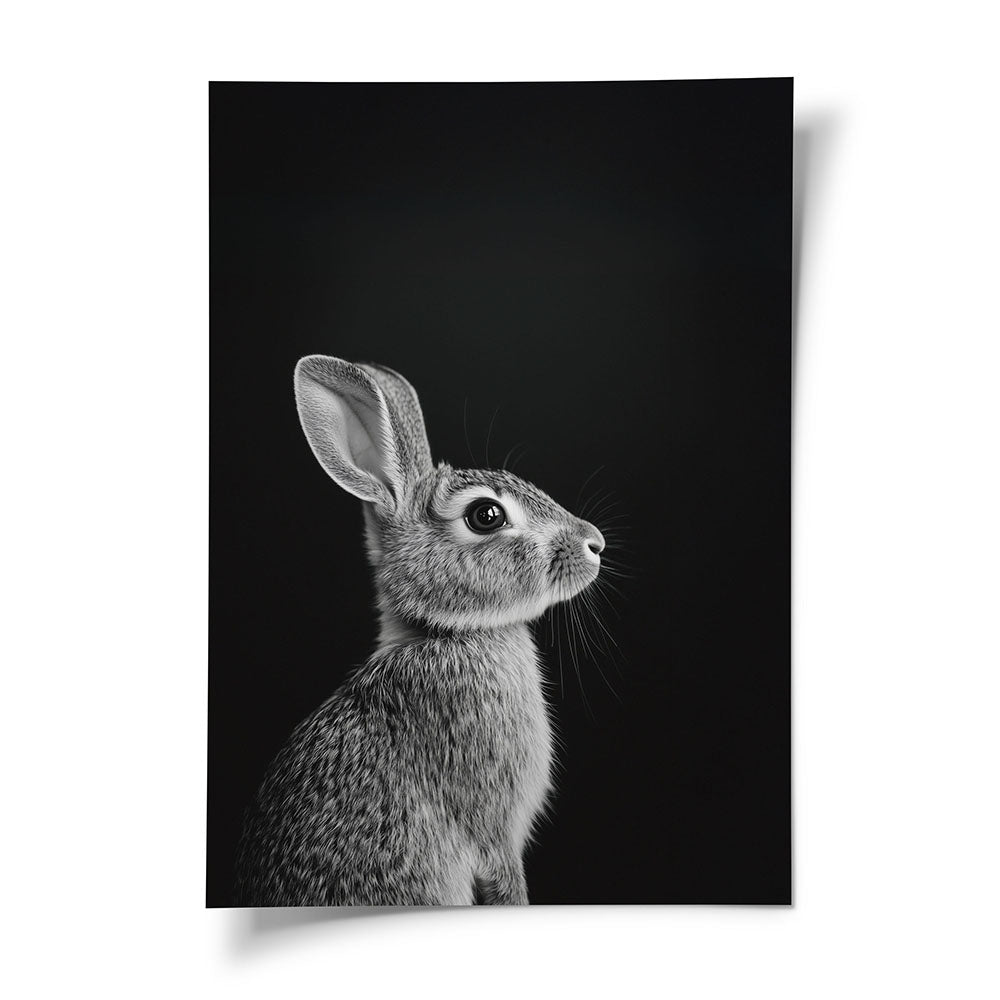 Tierposter Hase Schwarz Weiß