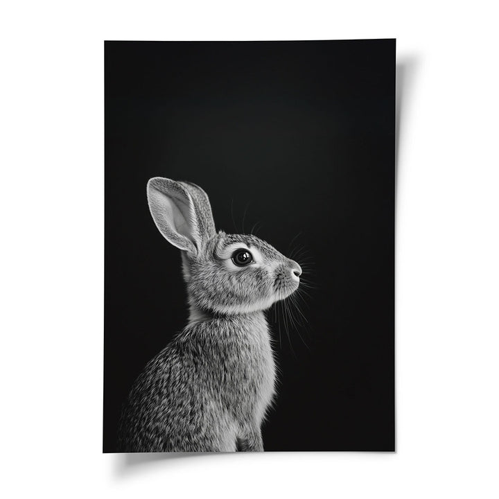 Tierposter Hase Schwarz Weiß