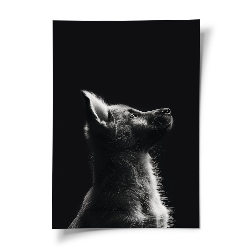 Poster Hund | Tierbild in Schwarz-Weiß – Inspiring Art, image size:1000x1000