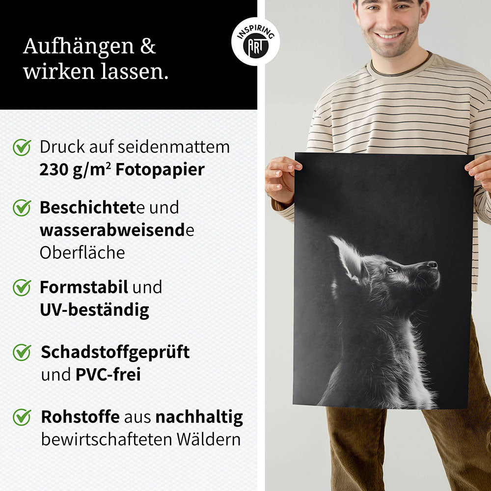 Poster: Tierporträt Hund "Lex" in Schwarz-Weiß