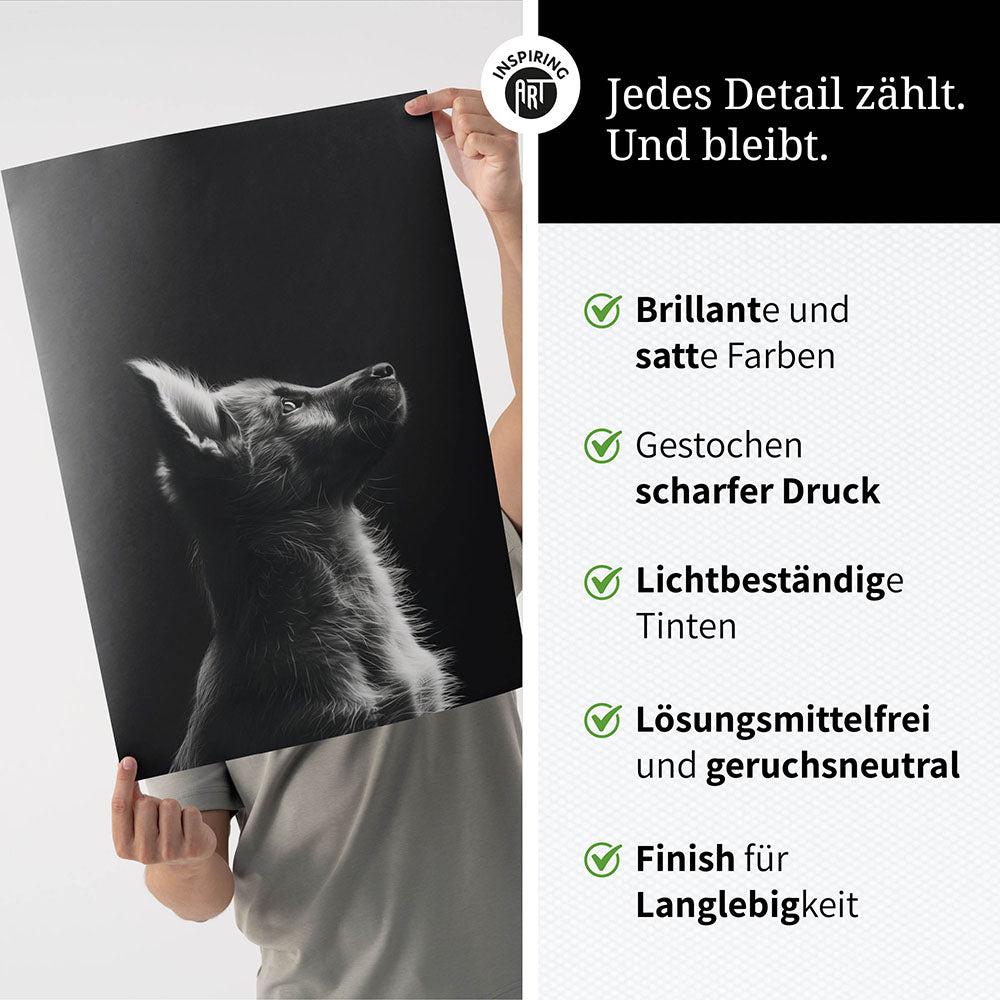 Poster: Tierporträt Hund "Lex" in Schwarz-Weiß