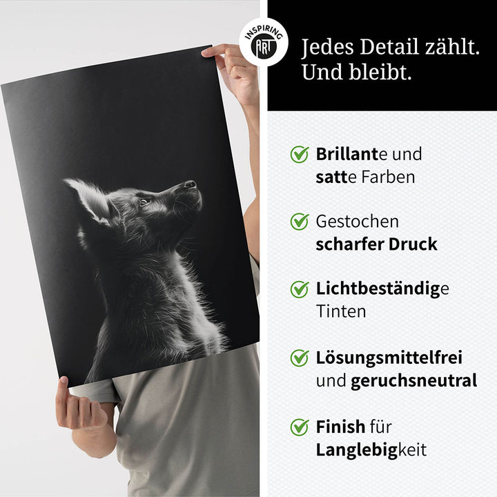 Poster: Tierporträt Hund "Lex" in Schwarz-Weiß