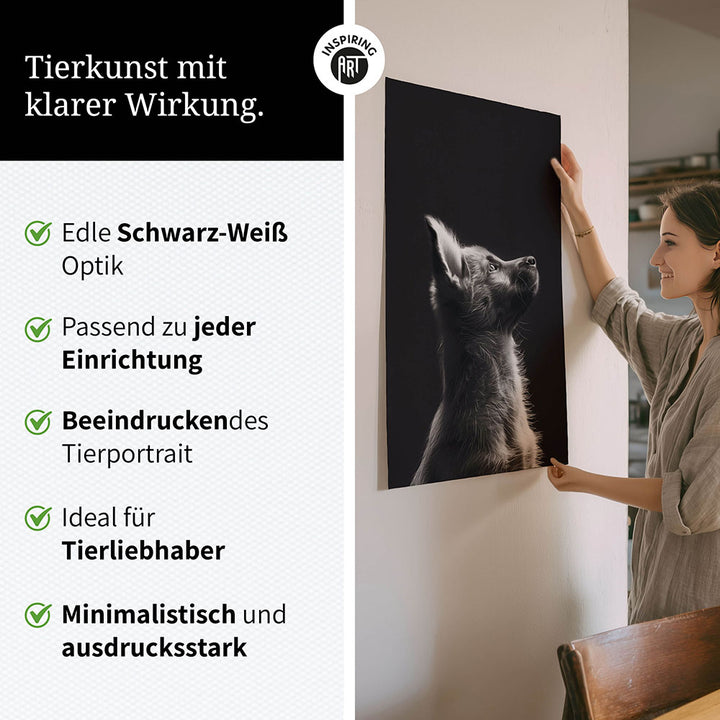 Poster: Tierporträt Hund "Lex" in Schwarz-Weiß