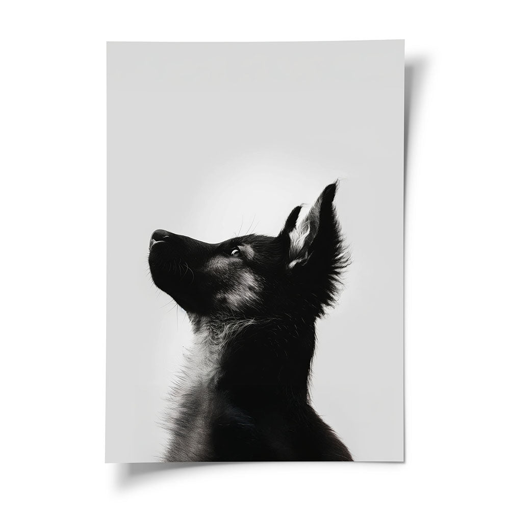 Poster Hund | Tierbild in Schwarz-Weiß – Inspiring Art, image size:1000x1000